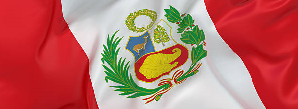 Asesor en Español