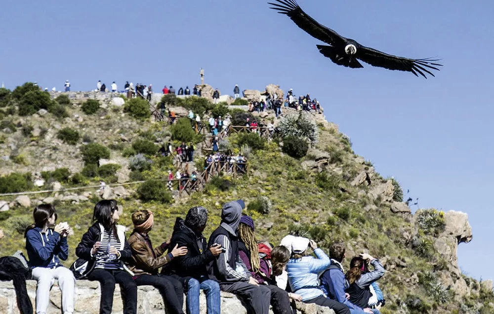 Tour Cañon del Colca 2 Días